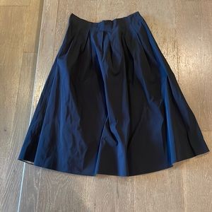 Zara Navy Blue Skirt